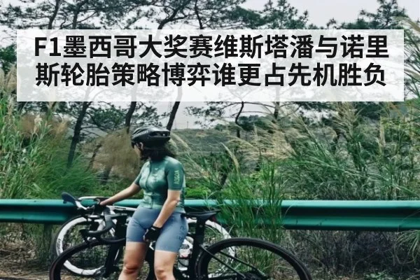 F1墨西哥大奖赛维斯塔潘与诺里斯轮胎策略博弈谁更占先机胜负 | Kaiyun APP